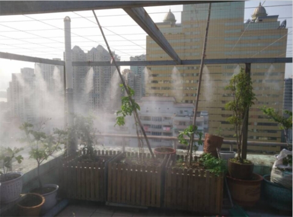 喷雾在休闲庭院的应用